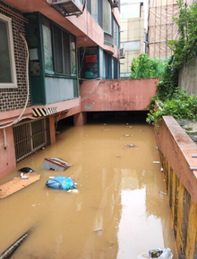 Những câu chuyện thương tâm trong trận mưa lịch sử ở Seoul