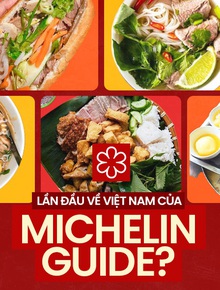 Những câu hỏi dành cho Michelin Guide