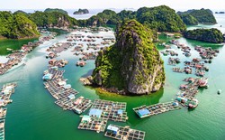 Trang du lịch Thrillist đánh giá Vịnh Lan Hạ là điểm đến đẹp nhất Việt Nam