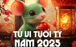 Năm 2025 của tuổi Tý: Gặp nhiều may mắn, sự nghiệp ngày càng thăng tiến