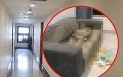 Vụ cô gái tử vong trong chung cư ở Hà Nội: Bác sĩ pháp y lý giải hiện tượng thi thể khô trên sofa