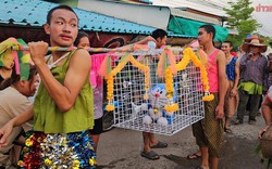 Sự thật đằng sau hình ảnh rước "mèo Doraemon" cầu mưa viral khắp cõi mạng mấy ngày qua