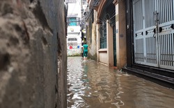 Cứ mưa lớn là ngập nhưng nhà trong ngõ nhỏ Hà Nội vẫn có giá trăm triệu đồng mỗi m2, chuyên gia khẳng định khó giảm