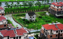 Chủ ngôi nhà cấp 4 từ chối nhận bồi thường 37 tỷ đồng, giờ "mắc kẹt" giữa khu biệt thự tiền tỷ, sống cảnh khó tin