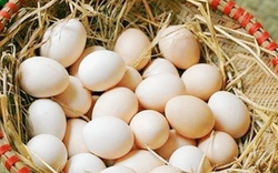 Ăn đúng 7 thực phẩm này, cơ thể "chống lão hóa tự nhiên", da dẻ mịn màng, ngủ ngon, ít bệnh!