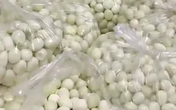 Phụ huynh Hà Nội phát hiện thịt, trứng cút bốc mùi tuồn vào trường học
