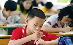 Trẻ có IQ vượt trội thường bộc lộ 4 đặc điểm sau ngay từ những năm đầu tiểu học!