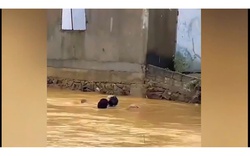 Clip: Nín thở trước hình ảnh người đàn ông lao ra cứu em học sinh lớp 7 giữa dòng nước xiết