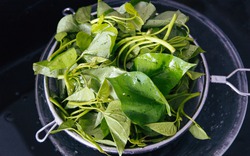 Loại rau Việt Nam bỗng trở thành hàng "hot", nhiều nước muốn mua: Bổ như sâm, được ví là thuốc trường thọ