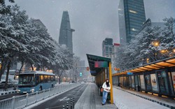 Khám phá AI Bốn Mùa trên vivo V60 Lite – Biến khoảnh khắc thường ngày thành diệu kỳ và rinh giải thưởng lên đến 200 triệu đồng