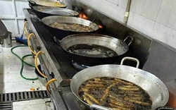 Dầu rán đen ngòm, thịt ôi thiu vào trường học: Bao giờ mới chấm dứt?