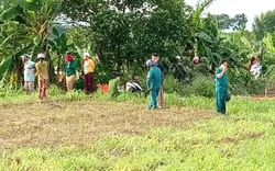 Người đàn ông được phát hiện tử vong dưới giếng nước sau 3 ngày mất tích