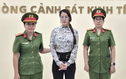 Diễn viên Trương Ngọc Ánh bị bắt vì tội gì?