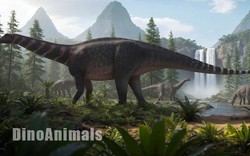 Mở ngăn kéo bảo tàng, phát hiện loài quái thú khổng lồ mới