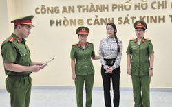 Diễn viên Trương Ngọc Ánh vì sao bị bắt, tội danh có khung hình phạt thế nào?