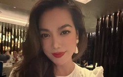 Diễn viên Trương Ngọc Ánh vừa bị bắt là ai?