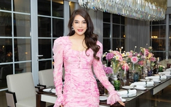 Trước khi bị bắt, diễn viên Trương Ngọc Ánh từng phải bán tài sản để trả nợ