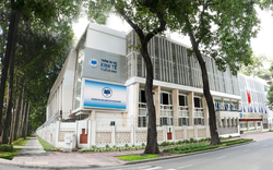 Ngôi trường liên tục lọt Top đại học hàng đầu thế giới: Có Phó giáo sư 47 tuổi điều hành, vừa công bố gói hỗ trợ lên tới 7 tỉ đồng