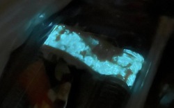 Người phụ nữ sốc nặng khi phát hiện món sushi bất ngờ phát sáng