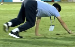 Độc lạ HLV Hoàng Anh Gia Lai bò trên sân ăn mừng cầu thủ ghi bàn ở V.League