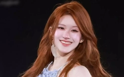 Triệu Lộ Tư đón tin vui