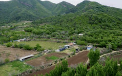 Cặp đôi U50 bỏ phố lên núi, thuê 20.000m² đất hoang để nghỉ hưu, sống “tự cung tự cấp”: “Vất vả chứ không lãng mạn như trên phim”