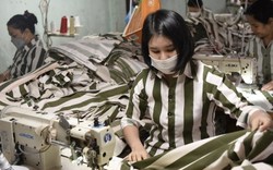 ĐBQH đề xuất cho phép phạm nhân lao động gửi tiền về phụ giúp gia đình