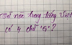 Câu đố thách thức 99% người bản xứ: Từ tiếng Việt nào có đến 4 chữ "G"?