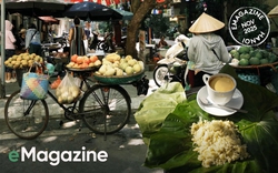 Vạn vật thua Hà Nội ngày trở lạnh