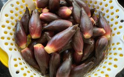 Loại rau người Nhật coi như "nhân sâm châu Á": Mọc đầy Việt Nam nhưng ít người biết