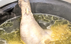 Bạn đã nấu thịt gà SAI CÁCH trong suốt cuộc đời mình?