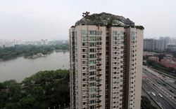 "Độ" penthouse thành “biệt thự cổ quái” 740 m² trên nóc chung cư 26 tầng, người đàn ông bị cơ quan chức năng ra quyết định cưỡng chế: “Phải dỡ bỏ trong 15 ngày”