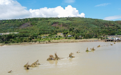 Cầu gỗ vượt sông dài nhất Việt Nam biến mất sau bão số 13: Lịch sử gần 30 năm, từng lên phim điện ảnh