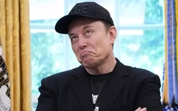 Billie Eilish mắng Elon Musk