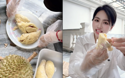 Số phận vườn sầu riêng nhà Mailisa