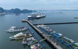 Khung cảnh ở Hạ Long ngay lúc này khiến nhiều người tò mò, nhận xét: "Ở đây đang thực sự có gì?"