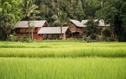 Bán chung cư 6,5 tỷ giữa Hà Nội để về miền Trung “sống chậm”, một năm sau, đôi vợ chồng trẻ nhận ra: Bình yên chưa thấy, hối hận đã tràn ngập