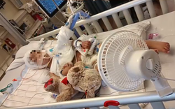 Bé trai 2 tuổi tử vong chỉ vì bác sĩ... kê đơn thuốc thiếu 1 dấu phẩy