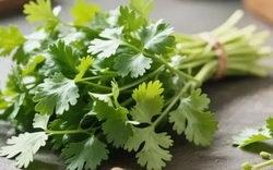 Người ăn rau mùi thường xuyên, trong thời gian ngắn, cơ thể có thể xuất hiện 5 thay đổi