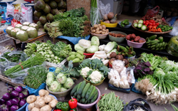 4 loại rau ít “ngậm” thuốc trừ sâu nhất chợ, phòng đột quỵ, ngừa ung thư: Nếu thấy nhớ mua ngay!