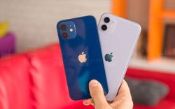 8 mẫu iPhone dù có rẻ đến đâu cũng không nên mua lúc này