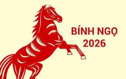 Năm Bính Ngọ 3 con giáp có quý nhân tương trợ, tài lộc rực rỡ, cần tận dụng cơ hội tốt để làm giàu