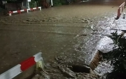 Tàu Bắc - Nam tạm dừng qua Khánh Hòa vì mưa lớn, đường sắt ngập sâu