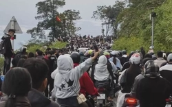 Hơn 13.000 người đổ xô tới Ba Vì ngắm hoa dã quỳ trong buổi sáng, ùn tắc kéo dài