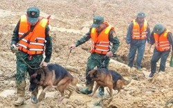 Toàn cảnh vụ sạt lở núi kinh hoàng ở Đà Nẵng khiến 3 người mất tích