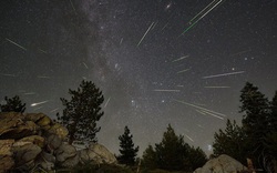 Đêm nay, Việt Nam đón cực đại mưa sao băng "Sư Tử"