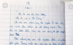 Học sinh tiểu học viết văn tả mẹ "ác hơn dì nghẻ" khiến dân mạng cười đau bụng, đoạn kết mới là đỉnh cao
