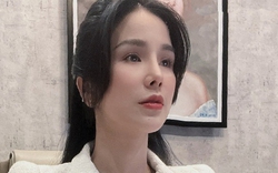 Diệp Lâm Anh xin lỗi