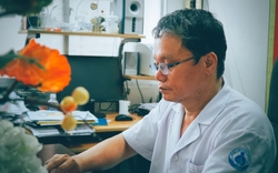 TP.HCM ghi nhận 1.481 ca mắc căn bệnh này trong 1 tuần: Bác sĩ chỉ ra 2 việc cần làm ngay để phòng ngừa