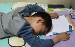 Đăng ảnh khoe con chăm học, mẹ sốc nặng khi bị cư dân mạng phán: "Sau này chỉ làm công nhân!"